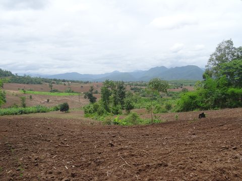 Mae Sot - Chiang Mai - Pai, Thaïlande
