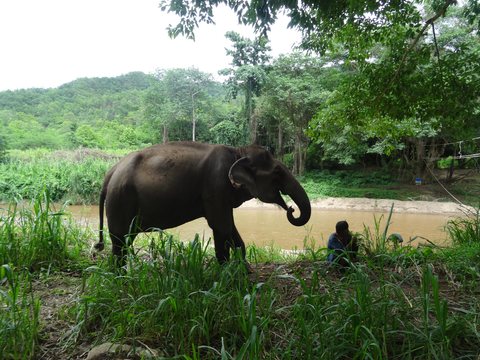 Mae Sot - Chiang Mai - Pai, Thaïlande