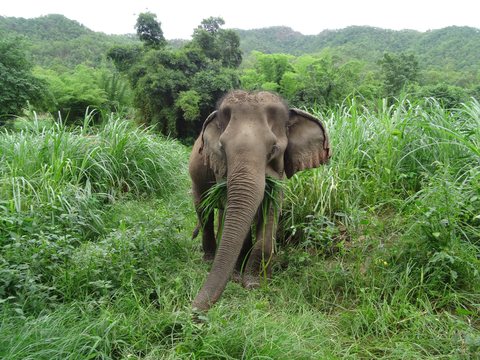 Mae Sot - Chiang Mai - Pai, Thaïlande
