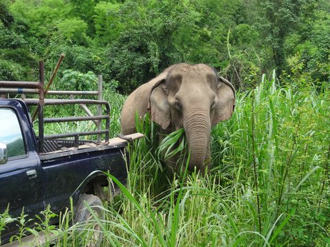 Mae Sot - Chiang Mai - Pai, Thaïlande