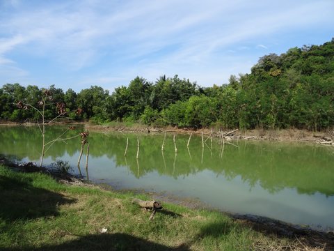 Surat Thani, Thaïlande