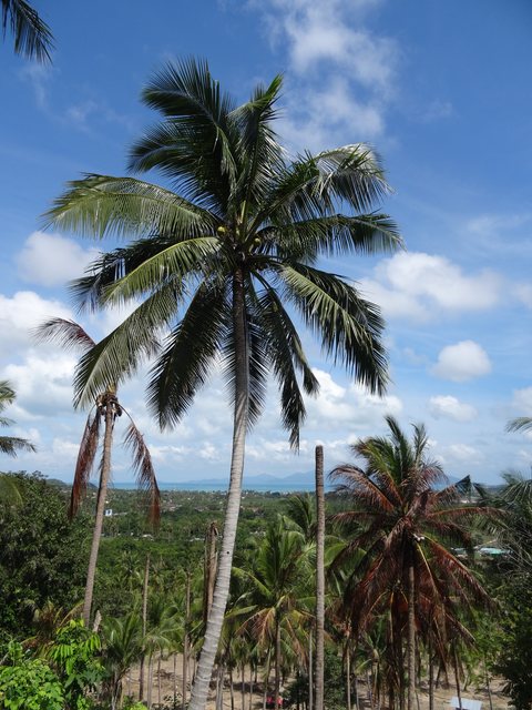 Koh Phi Phi - Koh Lanta, Thaïlande