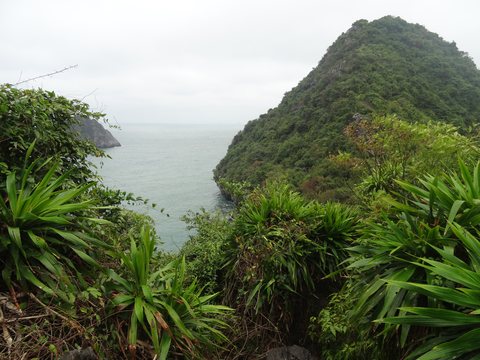 Baie d’Ha Long : terre (Ninh Binh) et mer (Cat Ba), Vietnam
