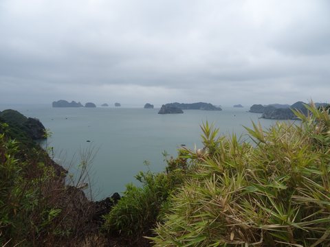 Baie d’Ha Long : terre (Ninh Binh) et mer (Cat Ba), Vietnam