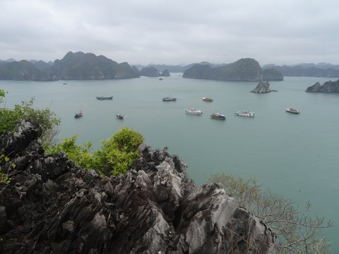 Baie d’Ha Long : terre (Ninh Binh) et mer (Cat Ba), Vietnam