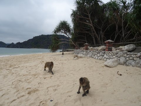 Baie d’Ha Long : terre (Ninh Binh) et mer (Cat Ba), Vietnam