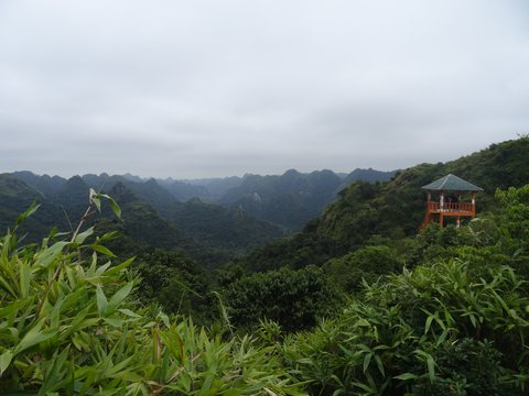 Baie d’Ha Long : terre (Ninh Binh) et mer (Cat Ba), Vietnam