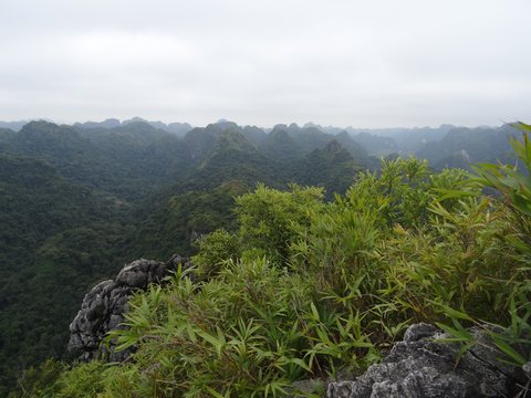 Baie d’Ha Long : terre (Ninh Binh) et mer (Cat Ba), Vietnam
