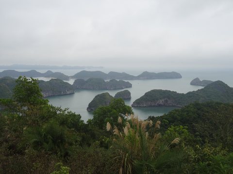 Baie d’Ha Long : terre (Ninh Binh) et mer (Cat Ba), Vietnam