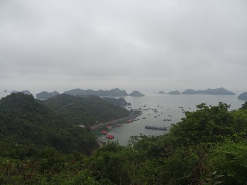 Baie d’Ha Long : terre (Ninh Binh) et mer (Cat Ba), Vietnam