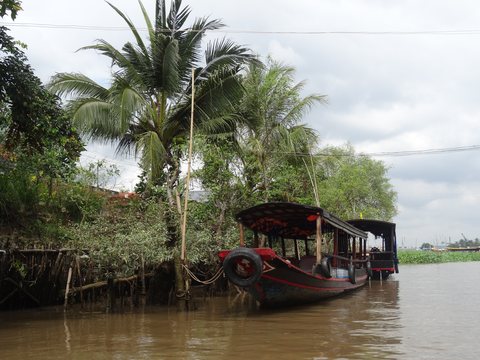 Le delta du Mékong, Vietnam