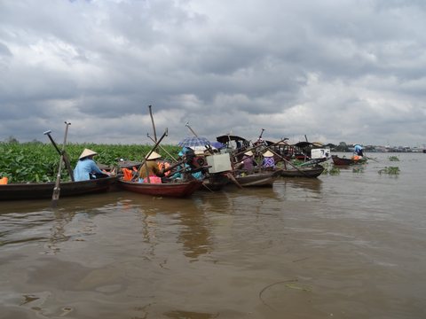 Le delta du Mékong, Vietnam