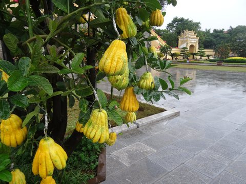 Hanoi - Sa Pa, Vietnam