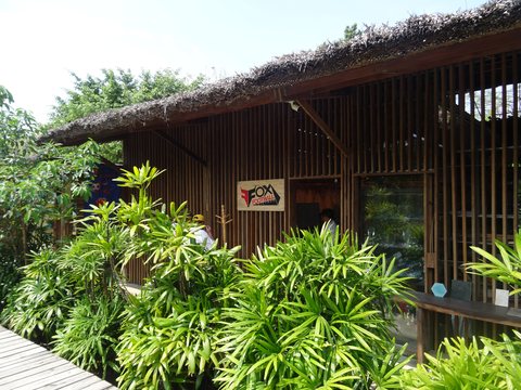 Ho Chi Minh - Cu Chi, Vietnam