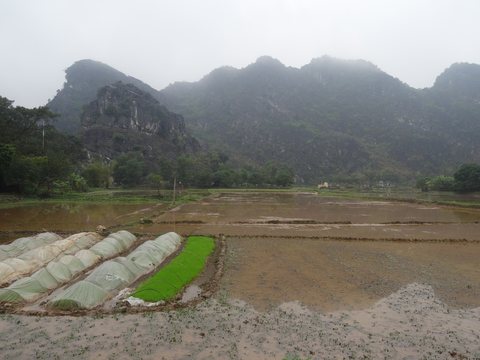 Baie d’Ha Long : terre (Ninh Binh) et mer (Cat Ba), Vietnam