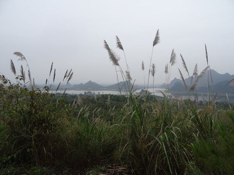 Baie d’Ha Long : terre (Ninh Binh) et mer (Cat Ba), Vietnam